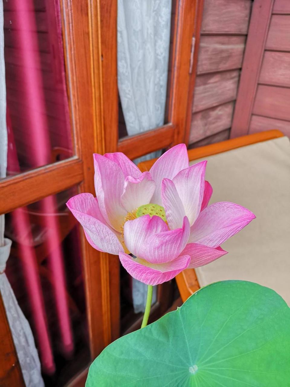 Baan Sithepaban Guesthouse Phitsanulok Εξωτερικό φωτογραφία